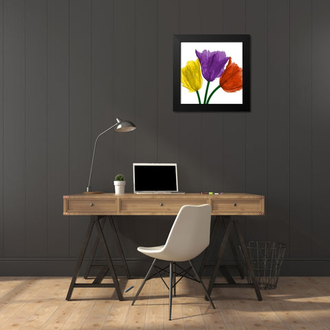 Shiny Jewel Tulips 1 Black Modern Wood Framed Art Print by Koetsier, Albert