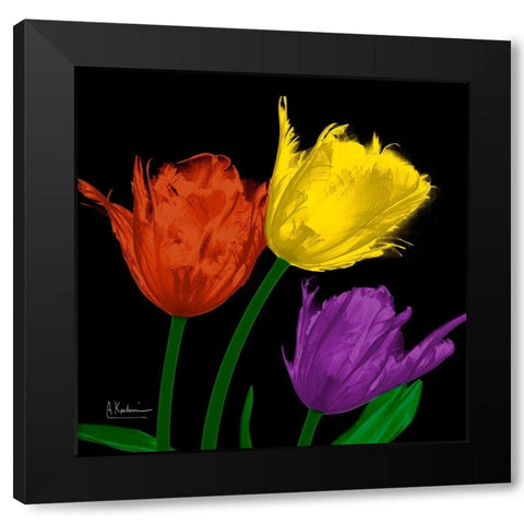 Shiny Jewel Tulips 4 Black Modern Wood Framed Art Print with Double Matting by Koetsier, Albert