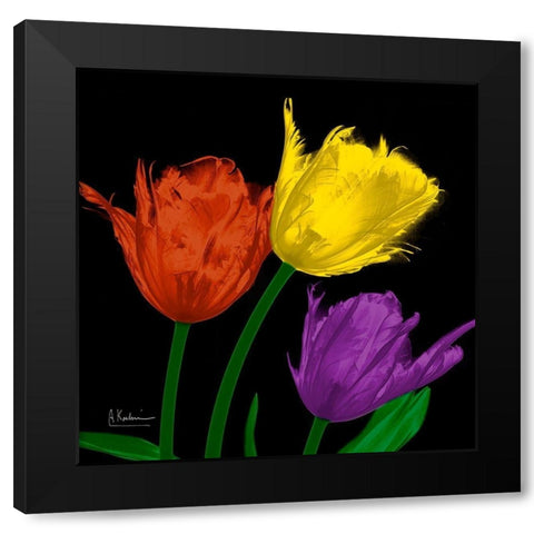 Shiny Jewel Tulips 4 Black Modern Wood Framed Art Print by Koetsier, Albert