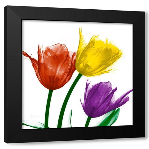 Shiny Jewel Tulips 2 Black Modern Wood Framed Art Print with Double Matting by Koetsier, Albert