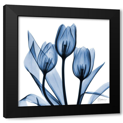 Indigo Tulips Black Modern Wood Framed Art Print with Double Matting by Koetsier, Albert