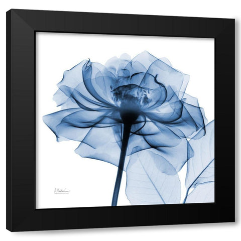 Indigo Rose Black Modern Wood Framed Art Print with Double Matting by Koetsier, Albert