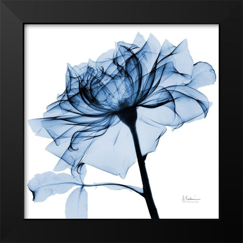 Indigo Rose 2 Black Modern Wood Framed Art Print by Koetsier, Albert