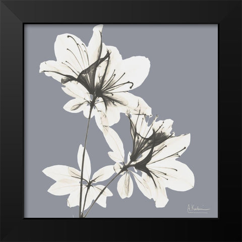 Splendid Neutral Beauty 1 Black Modern Wood Framed Art Print by Koetsier, Albert