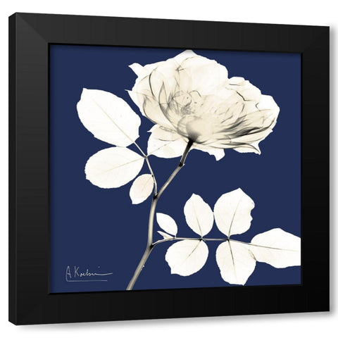 Rose Midnight Dynasty 1 Black Modern Wood Framed Art Print with Double Matting by Koetsier, Albert