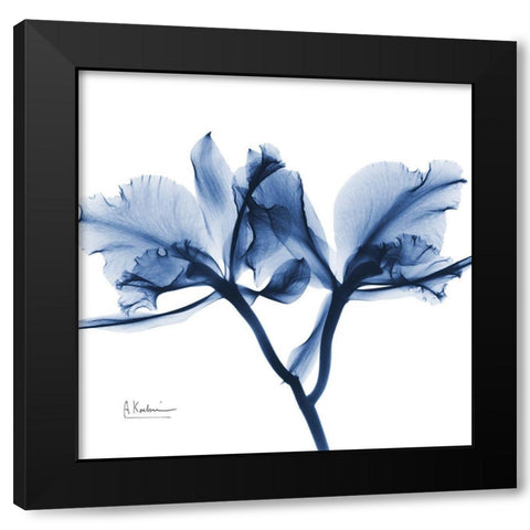 Indigo Orchid Black Modern Wood Framed Art Print with Double Matting by Koetsier, Albert