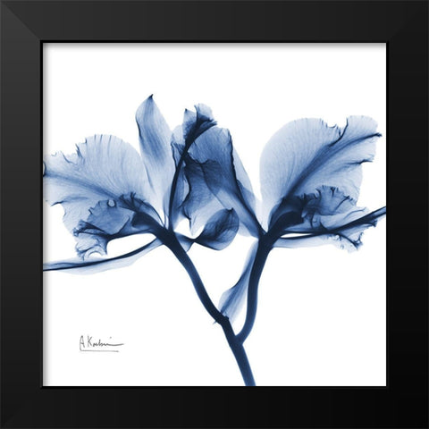 Indigo Orchid Black Modern Wood Framed Art Print by Koetsier, Albert