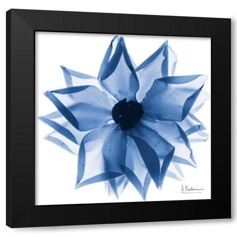 Indigo Rose Petals 1 Black Modern Wood Framed Art Print with Double Matting by Koetsier, Albert