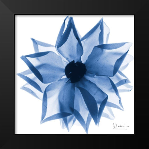 Indigo Rose Petals 1 Black Modern Wood Framed Art Print by Koetsier, Albert