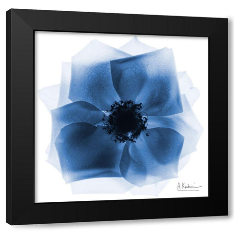 Indigo Rose Petals 2 Black Modern Wood Framed Art Print with Double Matting by Koetsier, Albert