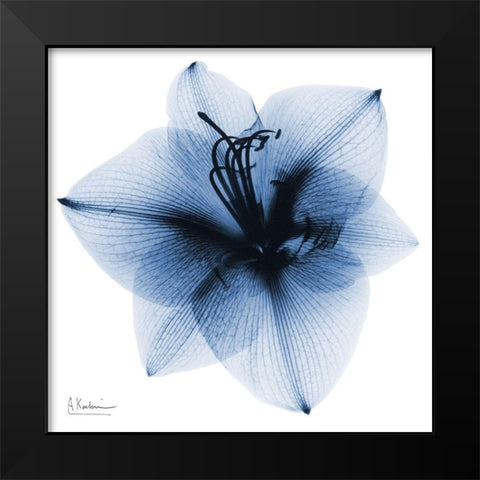 Indigo Amaryllis 1 Black Modern Wood Framed Art Print by Koetsier, Albert