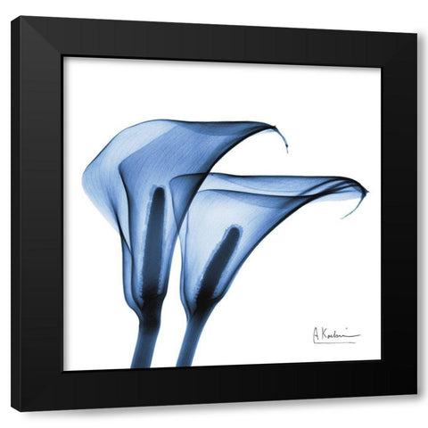 Indigo Infused Calla Lilies Black Modern Wood Framed Art Print by Koetsier, Albert