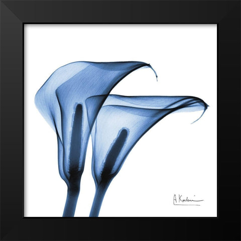 Indigo Infused Calla Lilies Black Modern Wood Framed Art Print by Koetsier, Albert