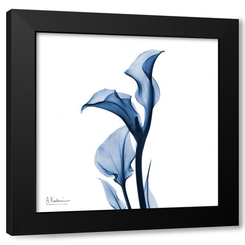 Indigo Covered Calla Lily Black Modern Wood Framed Art Print by Koetsier, Albert