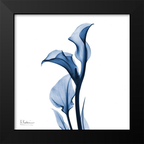 Indigo Covered Calla Lily Black Modern Wood Framed Art Print by Koetsier, Albert