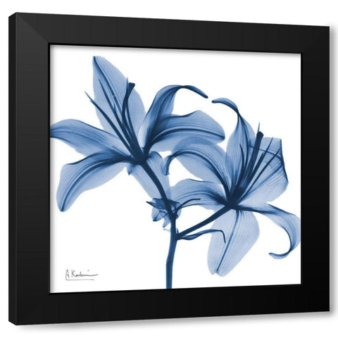 Indigo Infused Lily Black Modern Wood Framed Art Print with Double Matting by Koetsier, Albert