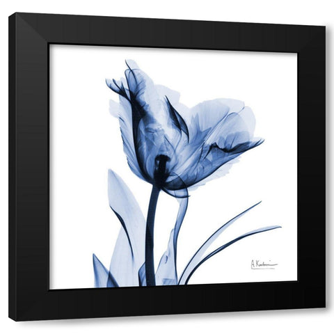 Indigo Softened Tulip Black Modern Wood Framed Art Print with Double Matting by Koetsier, Albert