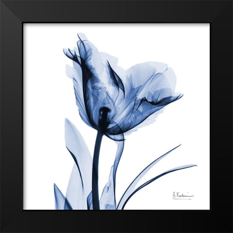 Indigo Softened Tulip Black Modern Wood Framed Art Print by Koetsier, Albert