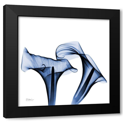 Twin Indigo Calla Lilies Black Modern Wood Framed Art Print by Koetsier, Albert