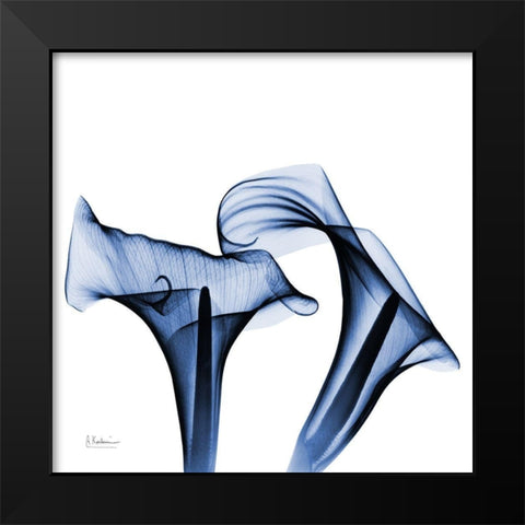 Twin Indigo Calla Lilies Black Modern Wood Framed Art Print by Koetsier, Albert