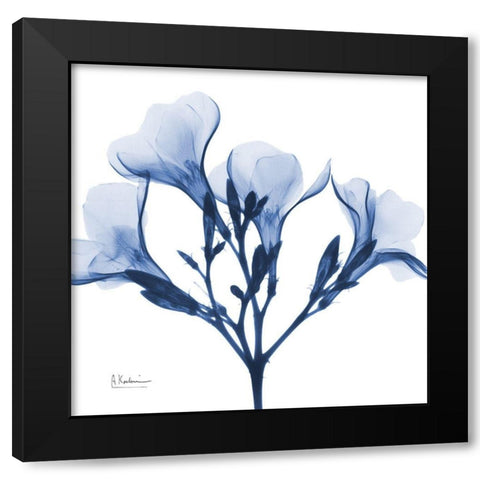 Indigo Oleander Black Modern Wood Framed Art Print with Double Matting by Koetsier, Albert