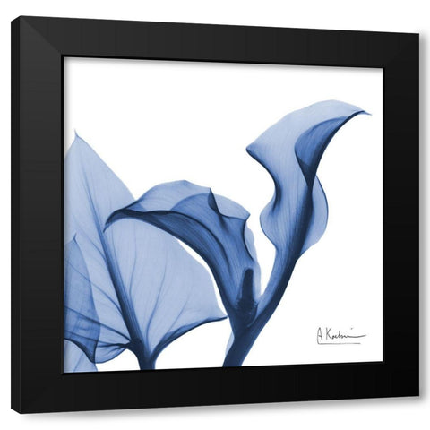 Indigo Calla Love Black Modern Wood Framed Art Print by Koetsier, Albert