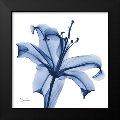 Glorious Indigo Lily Black Modern Wood Framed Art Print by Koetsier, Albert