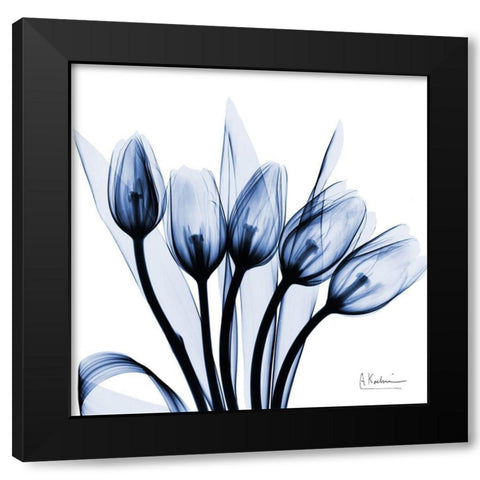 Marvelous Indigo Tulips Black Modern Wood Framed Art Print with Double Matting by Koetsier, Albert