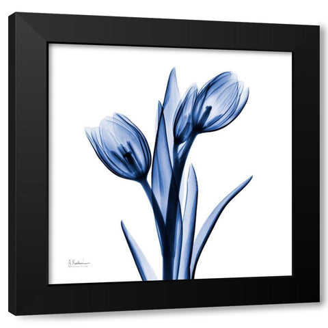 Enchanted Indigo Tulips Black Modern Wood Framed Art Print with Double Matting by Koetsier, Albert