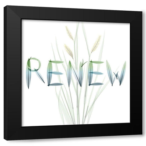 Renew Black Modern Wood Framed Art Print by Koetsier, Albert