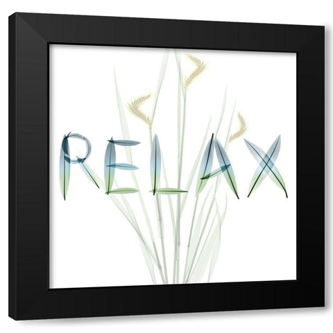 Relax Black Modern Wood Framed Art Print with Double Matting by Koetsier, Albert