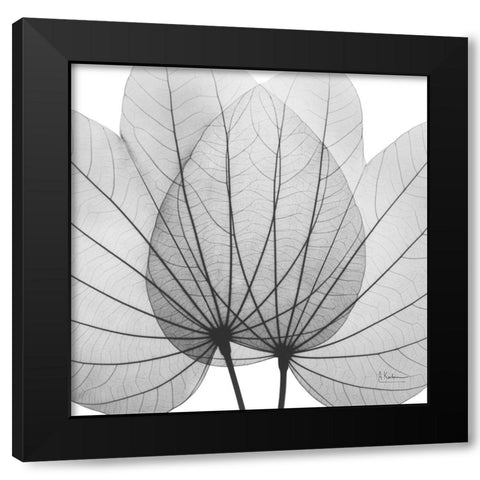 Orchid Tree BW Black Modern Wood Framed Art Print with Double Matting by Koetsier, Albert