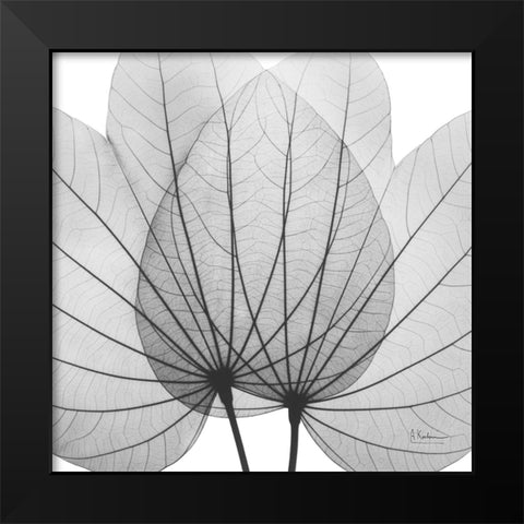 Orchid Tree BW Black Modern Wood Framed Art Print by Koetsier, Albert