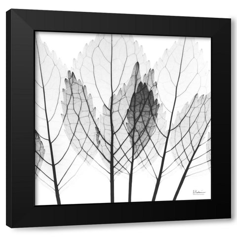 Monochromatic Growth Black Modern Wood Framed Art Print by Koetsier, Albert