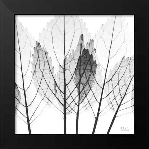 Monochromatic Growth Black Modern Wood Framed Art Print by Koetsier, Albert