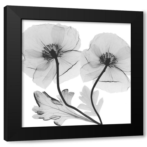 Momentary Projection 1 Black Modern Wood Framed Art Print with Double Matting by Koetsier, Albert