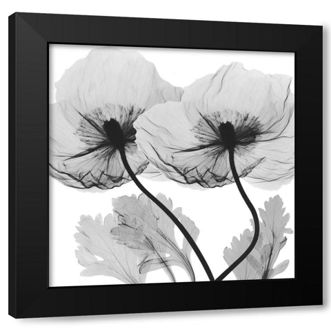 Momentary Projection 2 Black Modern Wood Framed Art Print with Double Matting by Koetsier, Albert