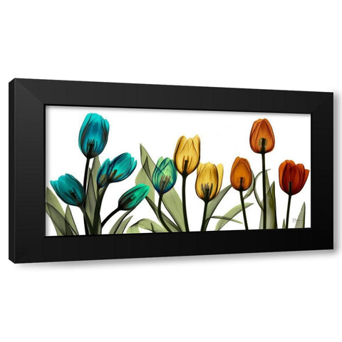 New Tulipscape Black Modern Wood Framed Art Print with Double Matting by Koetsier, Albert