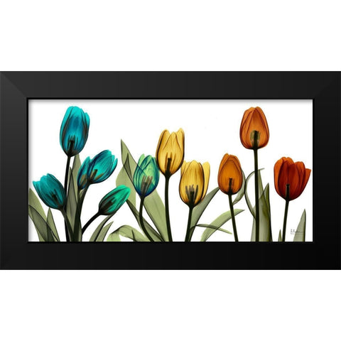 New Tulipscape Black Modern Wood Framed Art Print by Koetsier, Albert