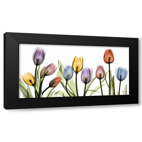 Tulipscape Black Modern Wood Framed Art Print with Double Matting by Koetsier, Albert