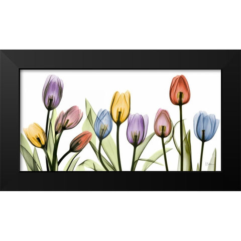 Tulipscape Black Modern Wood Framed Art Print by Koetsier, Albert