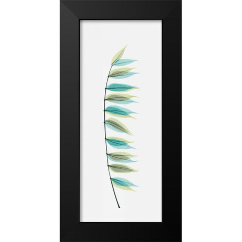 Chinese Pistachio Black Modern Wood Framed Art Print by Koetsier, Albert