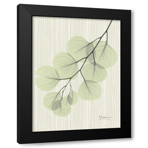 Eucalyptus E196 Black Modern Wood Framed Art Print by Koetsier, Albert