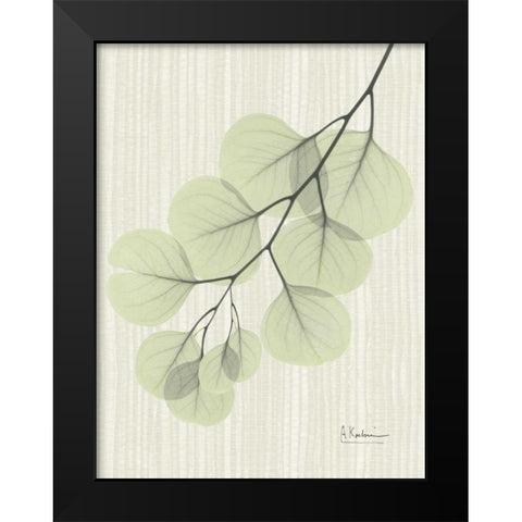 Eucalyptus E196 Black Modern Wood Framed Art Print by Koetsier, Albert