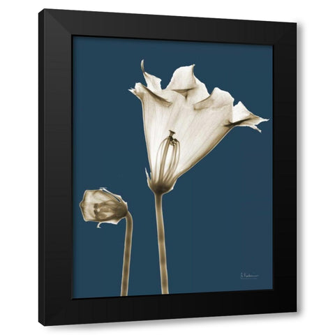 Gloxinia TOP Black Modern Wood Framed Art Print with Double Matting by Koetsier, Albert