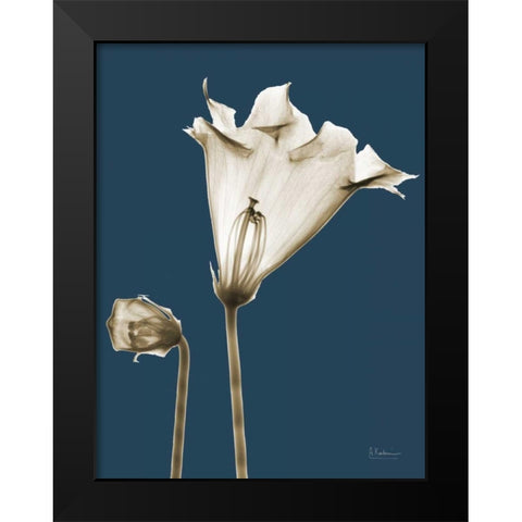 Gloxinia TOP Black Modern Wood Framed Art Print by Koetsier, Albert