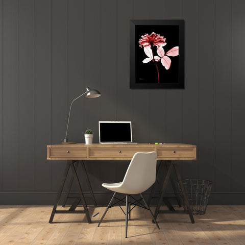 Rose 12 Black Modern Wood Framed Art Print by Koetsier, Albert