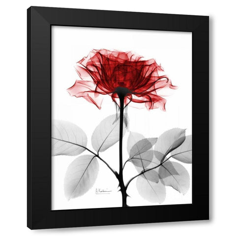 Rose 18 Black Modern Wood Framed Art Print with Double Matting by Koetsier, Albert