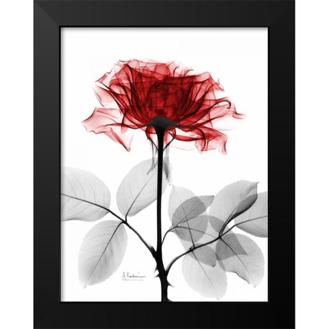 Rose 18 Black Modern Wood Framed Art Print by Koetsier, Albert