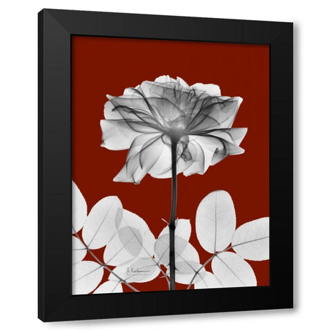 Rose 28 Black Modern Wood Framed Art Print with Double Matting by Koetsier, Albert